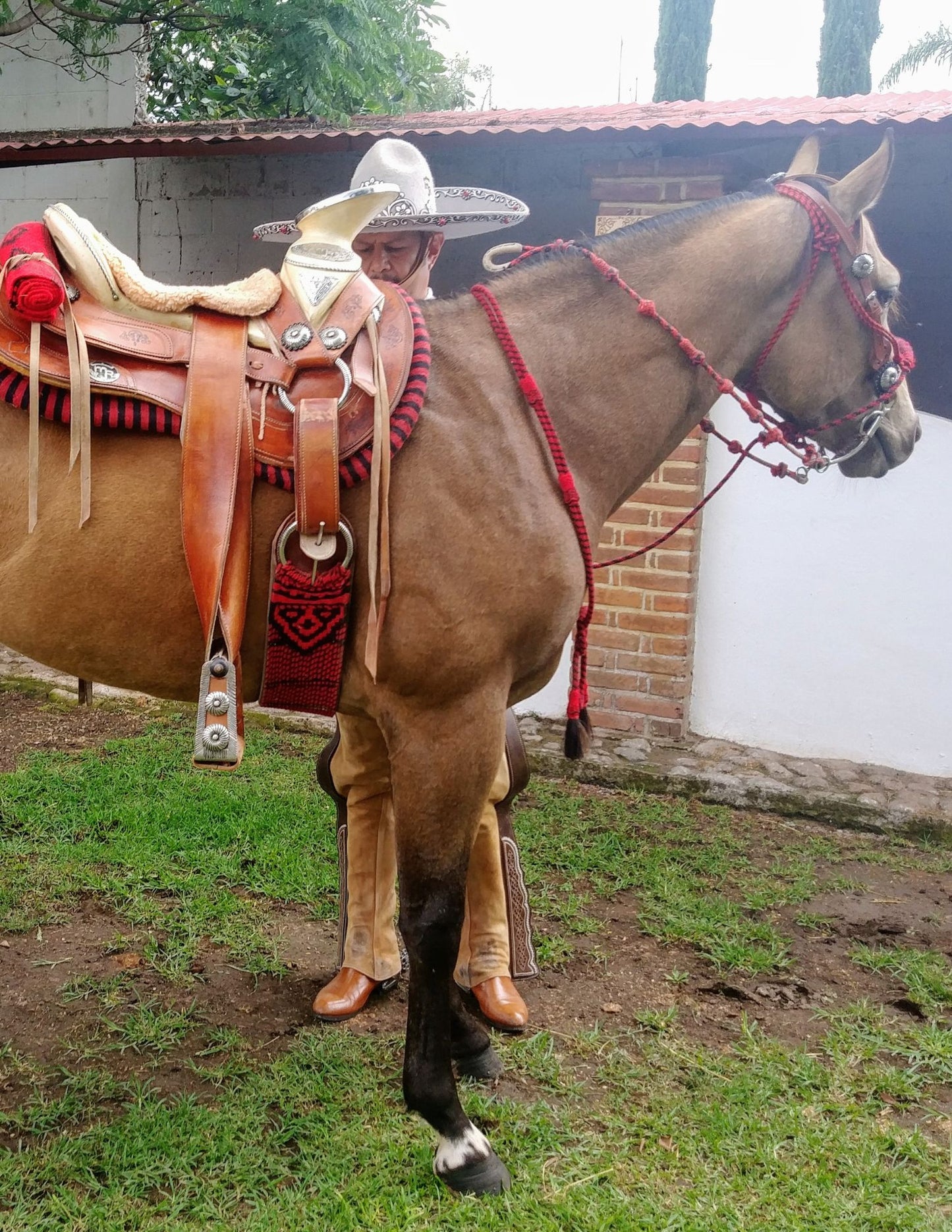 GARGANTON CON CRIN DE CABALLO